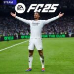 EA Sports FC 25 - steam offline